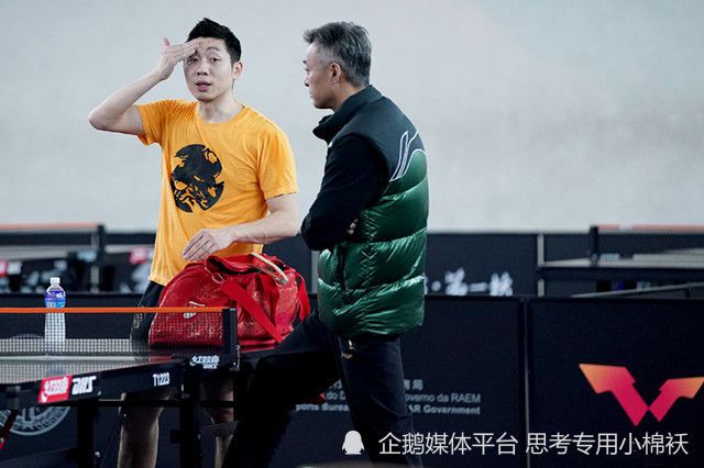 成年人在线播放视频